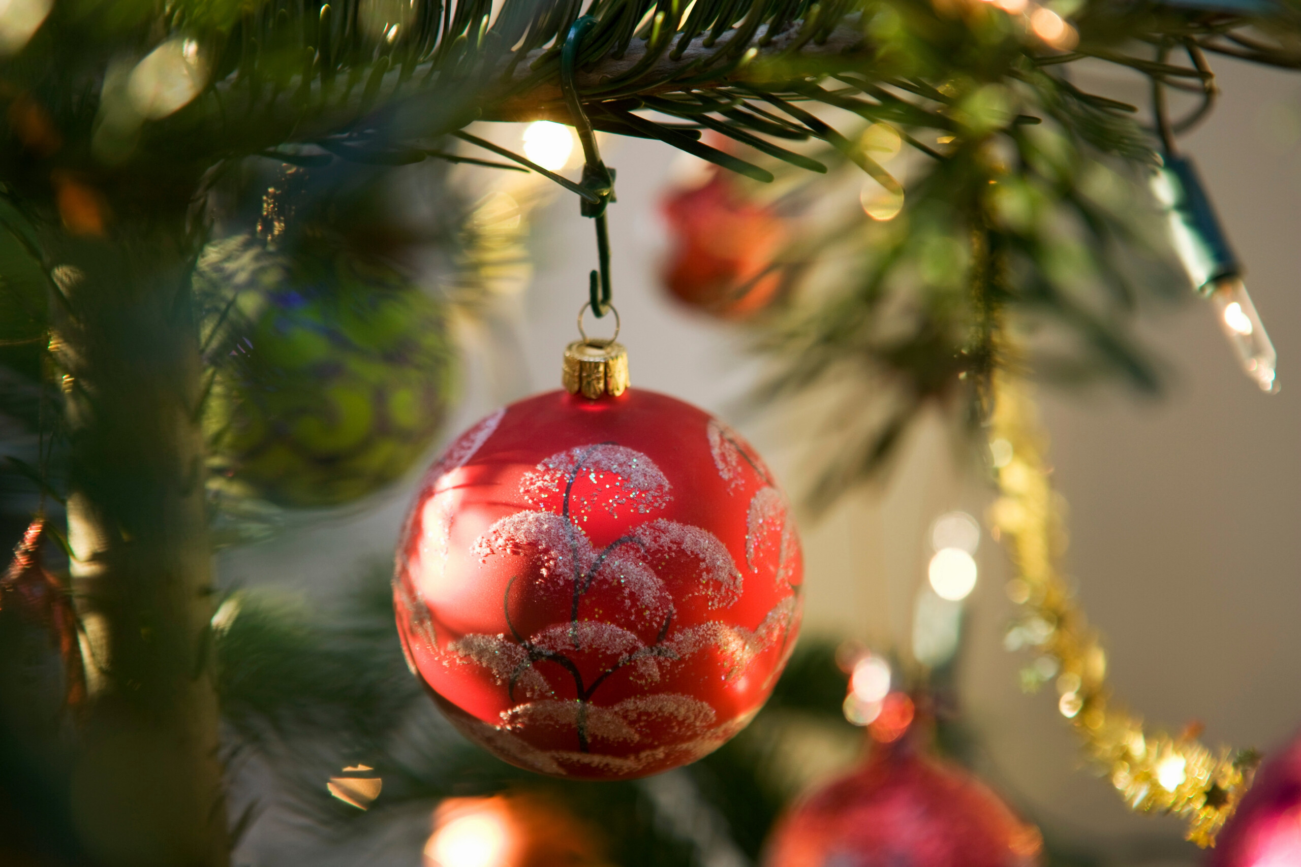 How to Care for Your Christmas Tree and Poinsettia