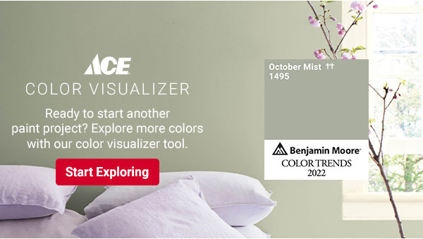 Dream it, See it in our color visualization center