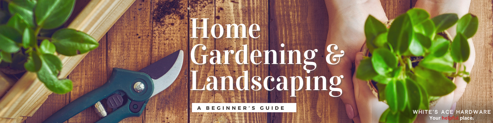 Garden & Landscape Guide Banner
