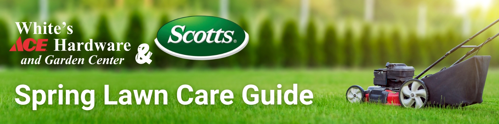 Spring Lawn Care Guide