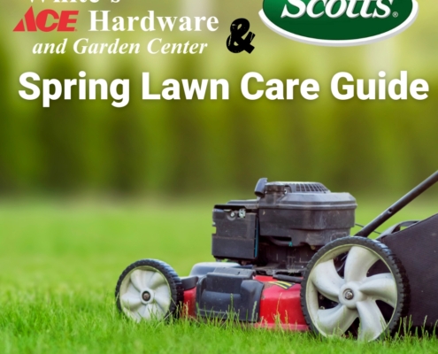 Spring Lawn Care Guide