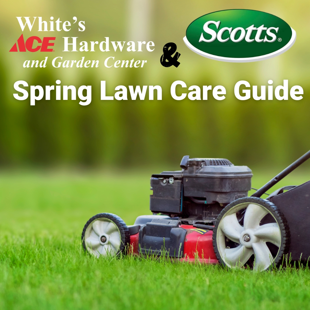 Spring Lawn Care Guide