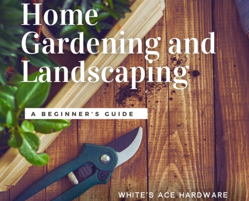 Home Gardening & Landscaping