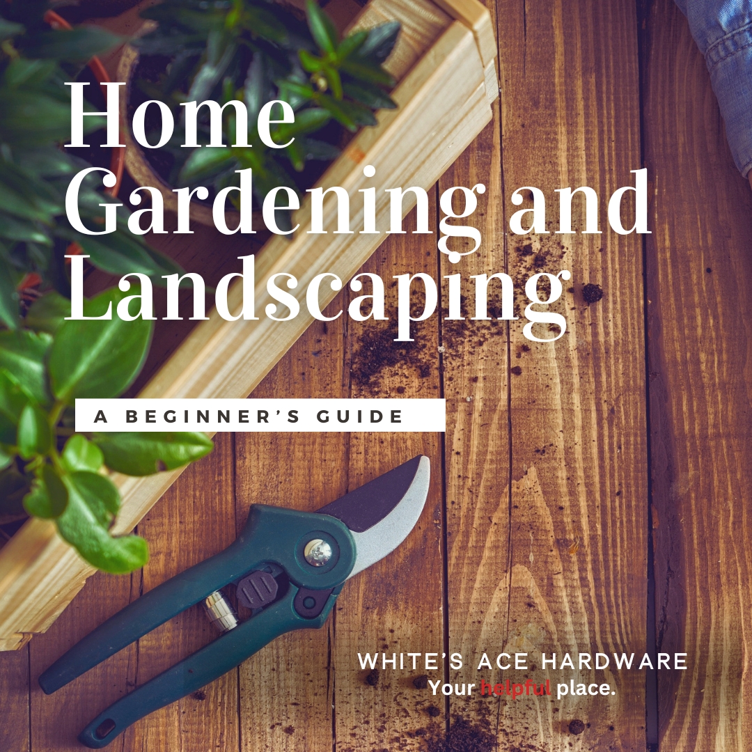 Home Gardening & Landscaping