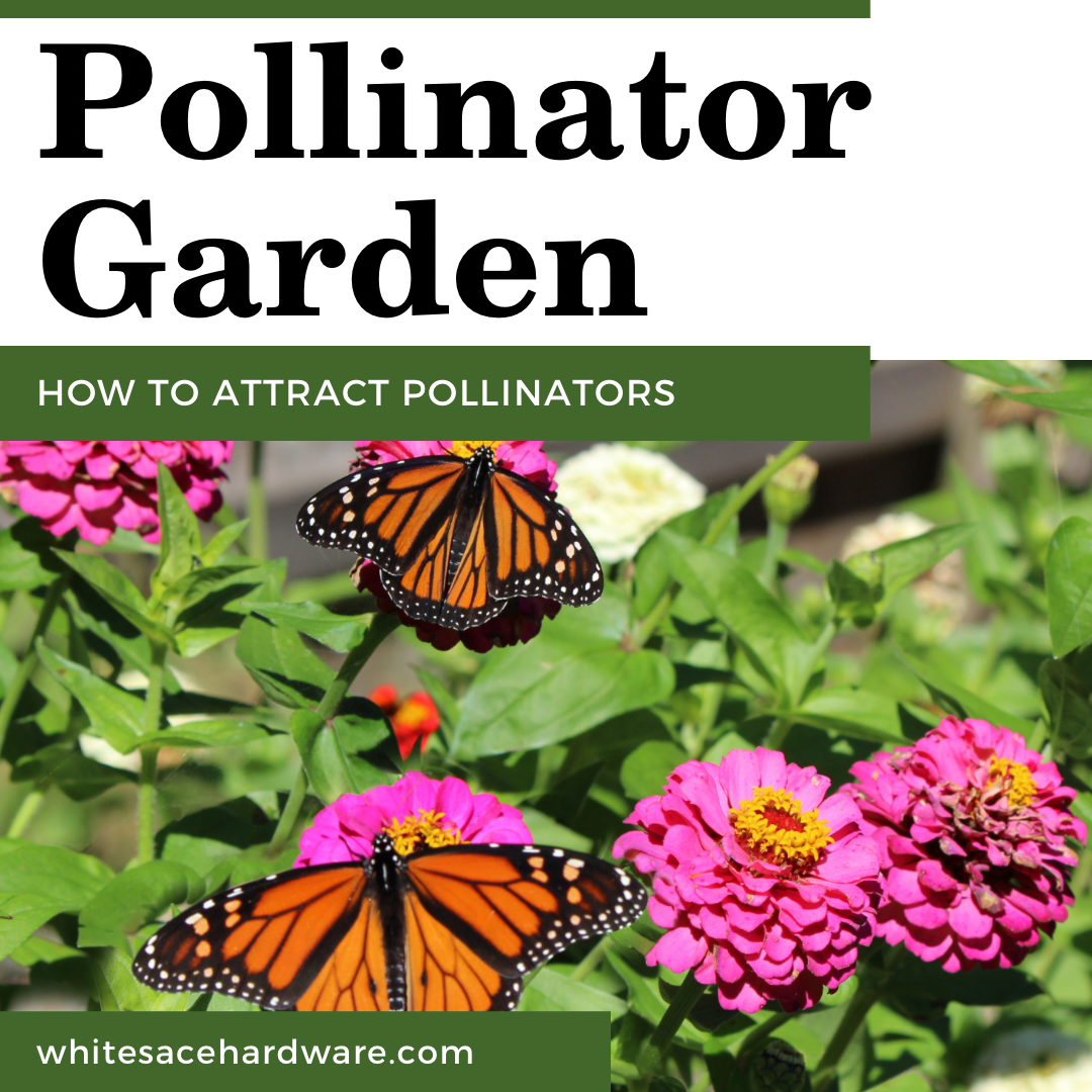 Pollinator Garden