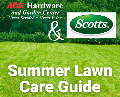 Summer Lawn Care Guide