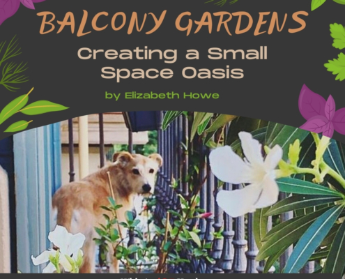 Balcony Gardens