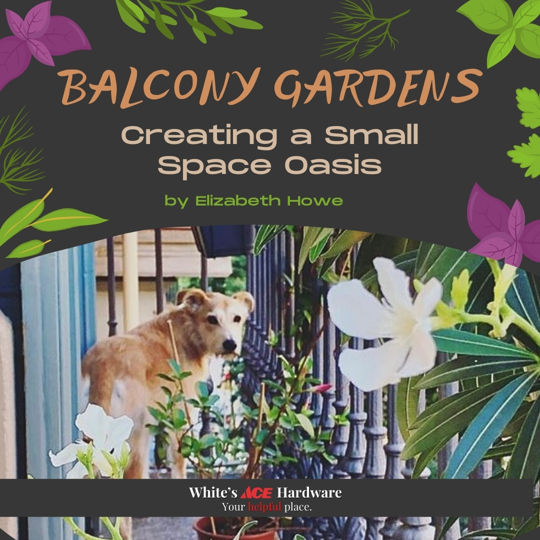 Balcony Gardens