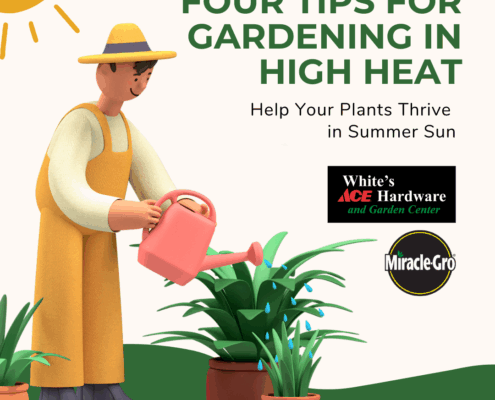 High Heat Gardening