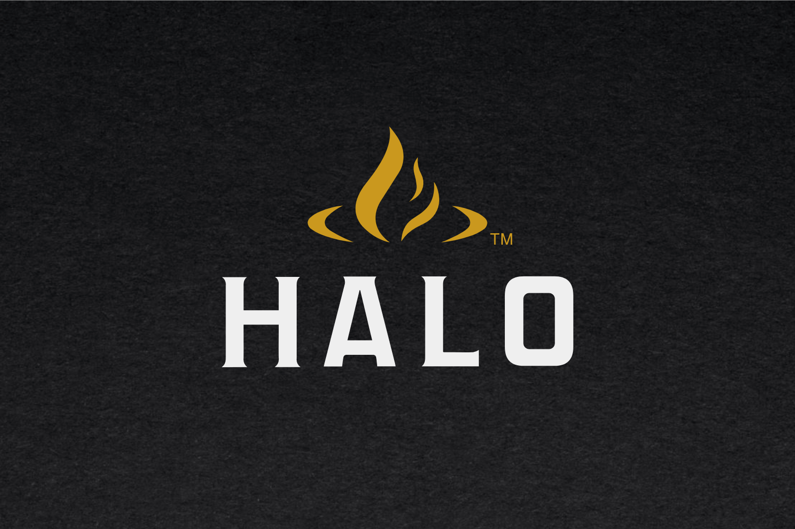 Halo Logo