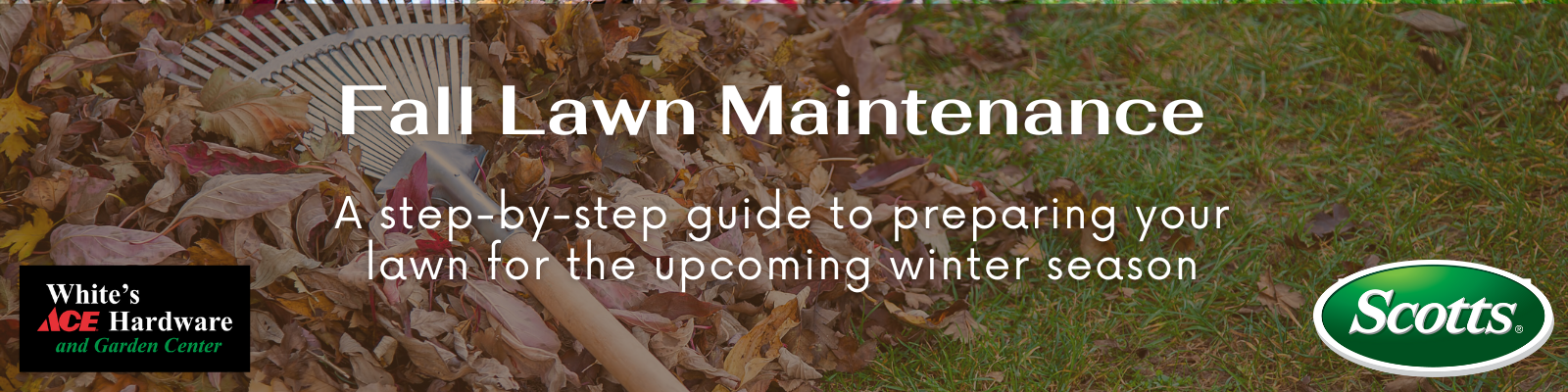 Fall Lawn Care Guide