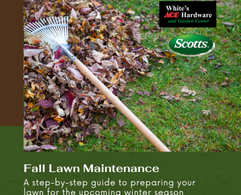 Fall Lawn Care