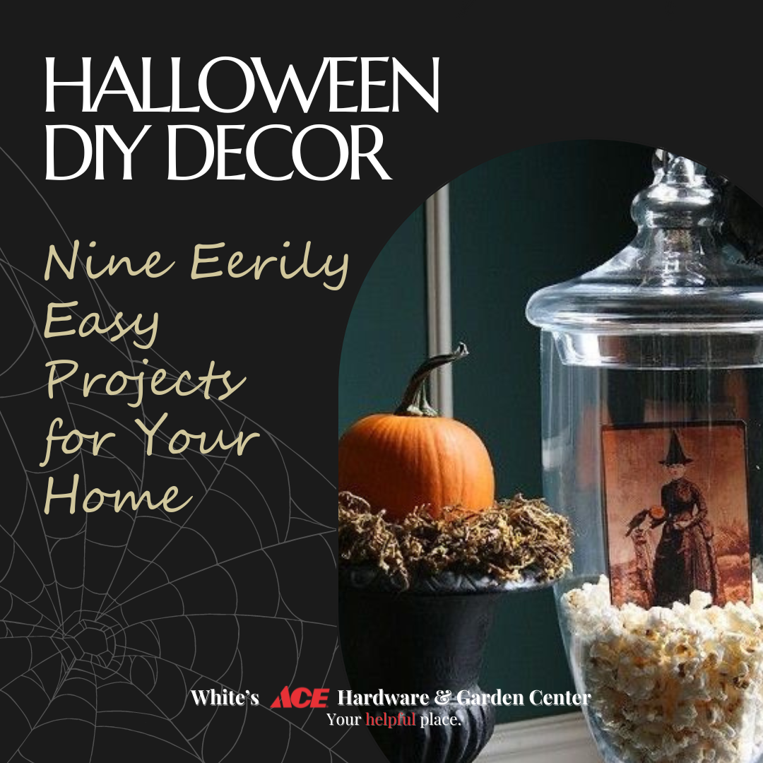 Halloween Decor
