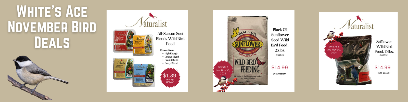 2024 November Wild Bird Deals