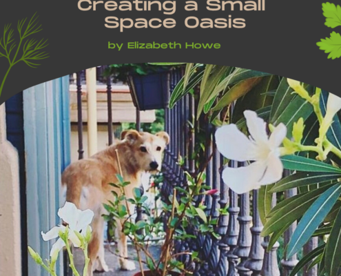 Balcony Gardens