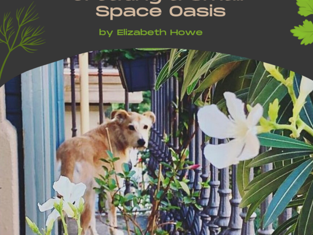 Balcony Gardens