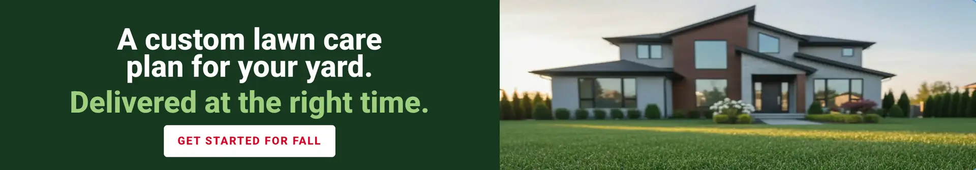 Fall Lawn Care Plan